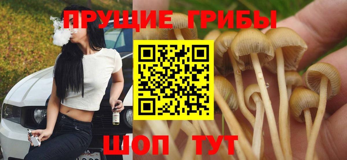 хочу   Вход с VPN  Артёмовский  Галлюциногенные грибы мухоморы 